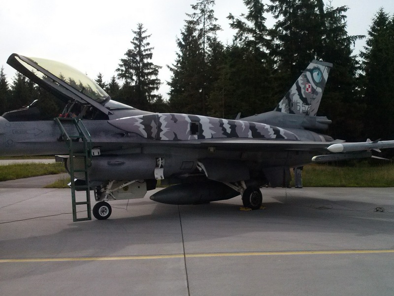 tygrysie F-16 (1) - Adam Sołtysiak