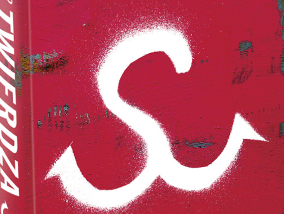 twierdza_3d - Twierdza