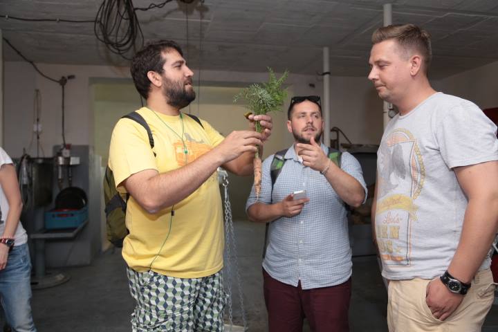 Turcja w Polsce5 - Concordia Design