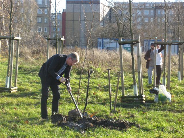 sadzenie drzewek - Wojciech Chmielewski - Radio Merkury