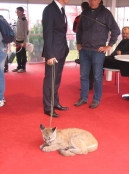 AGROSHOW 2014 / Rafał Muniak