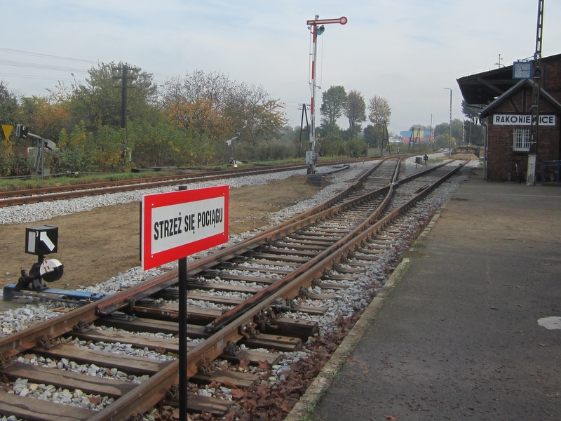 trasa kolejowa Wolsztyn Rakoniewice  - Anna Skoczek