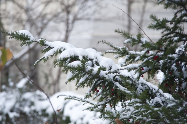Zima w Poznaniu - Przemek Modliński