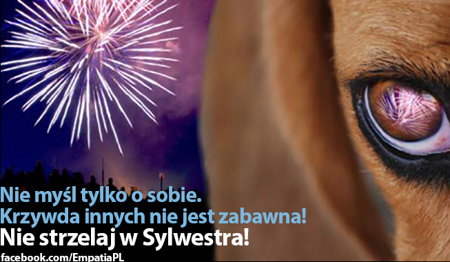 nie_strzelaj_22 - Empatia.pl