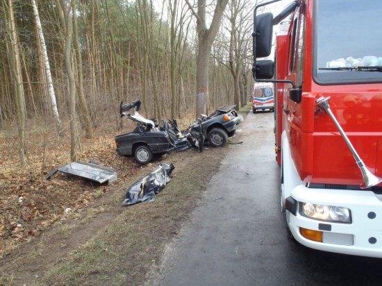 auto rozbite na drzewie - Straż Pożarna/Poznań