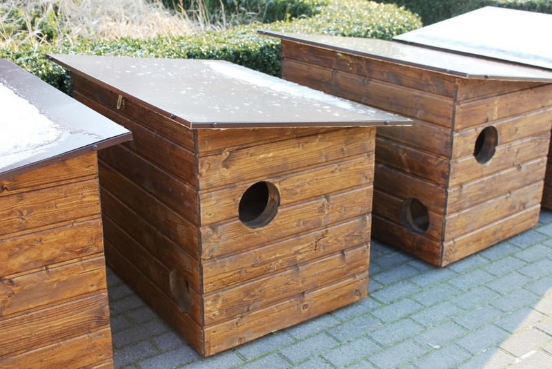 domki dla kotów 1 - schronisko dla zwierząt w Poznaniu