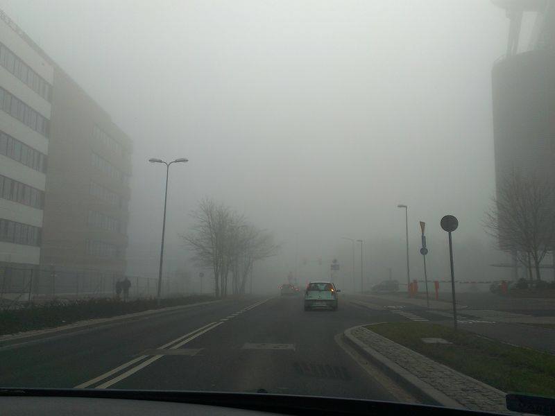 mgła w mieście - Adam Michalkiewicz