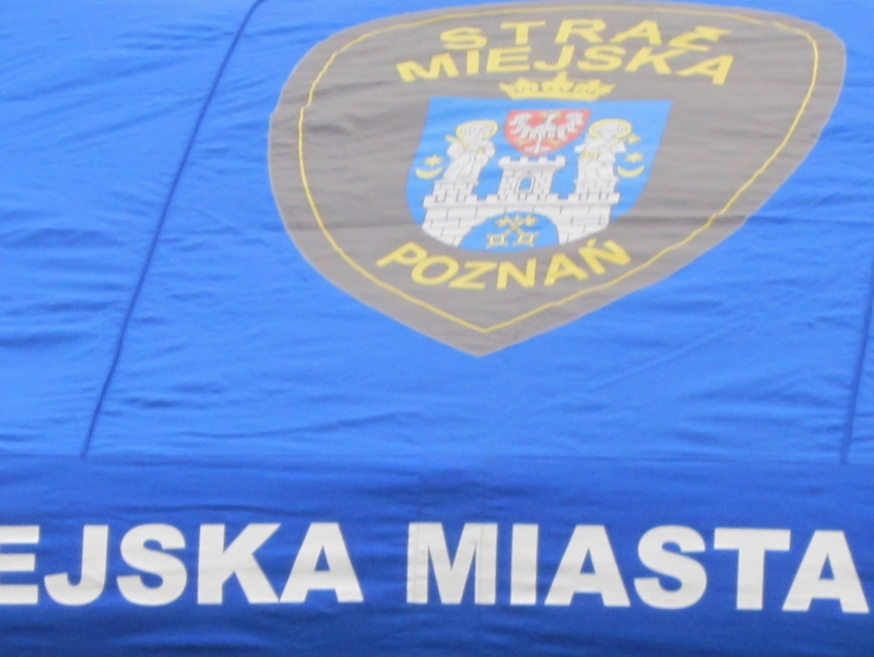 straż miejska - Magda Konieczna
