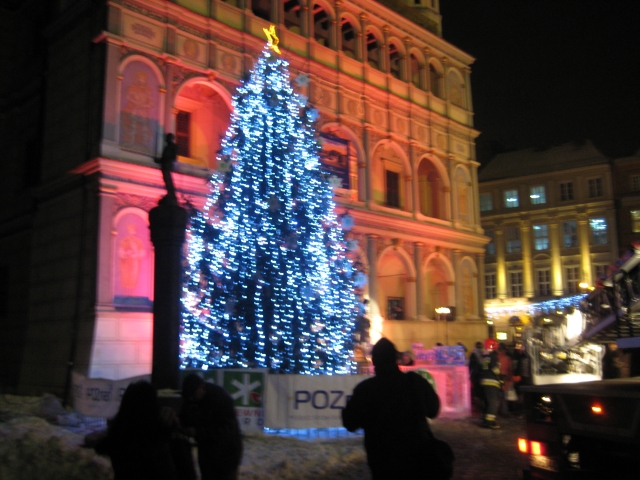 choinka stary rynek - Anna Skoczek