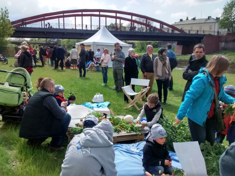 barma poznania rok piknik - Wojciech Chmielewski