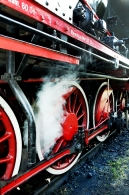 Wolsztyn 2015 / Piotr Gilarski