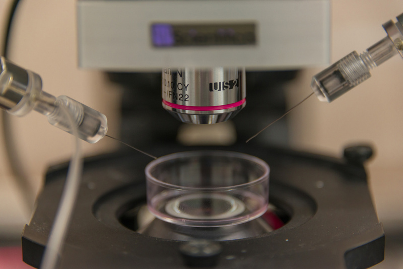 laboratorium neurobiologiczne - Fotolia.pl