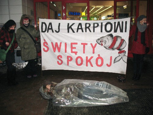 Daj karpiowi spokój - Empatia