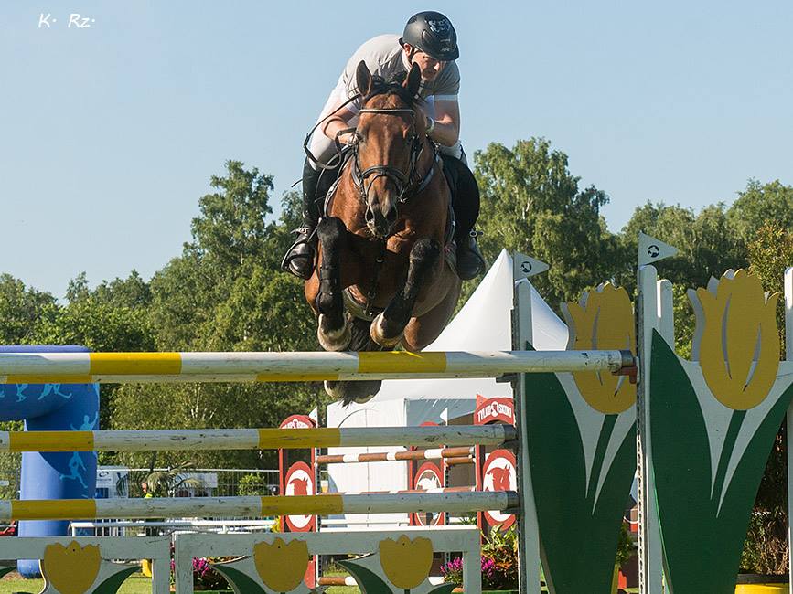 Psiuk_Ares_DR_czwartek - K Rz - I Memoriał Macieja Frankiewicz