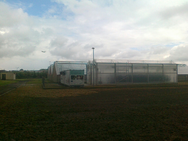 szklarnia z mydłem - Jacek Kosiak