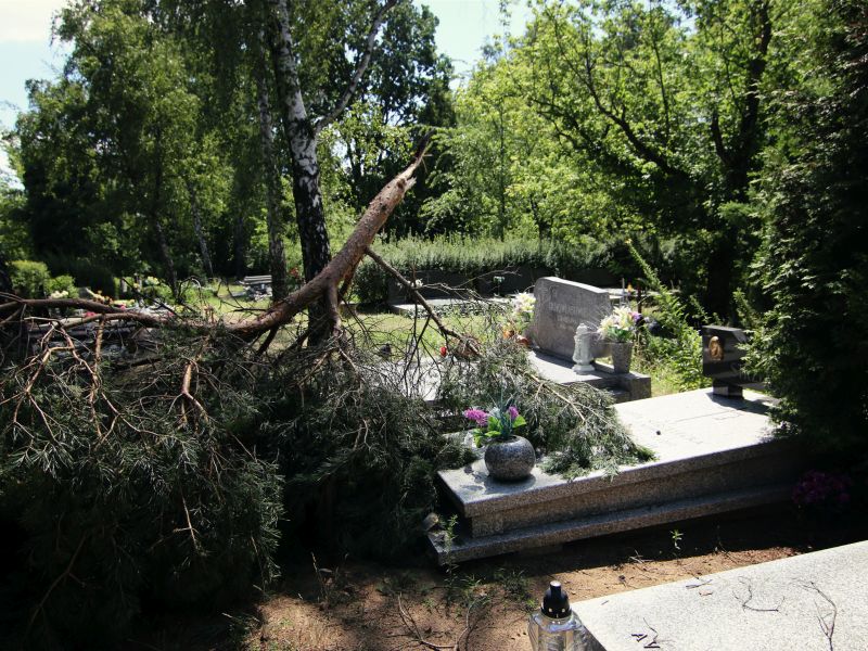 Junikowo po nawałnicy - Anna Adamczyk