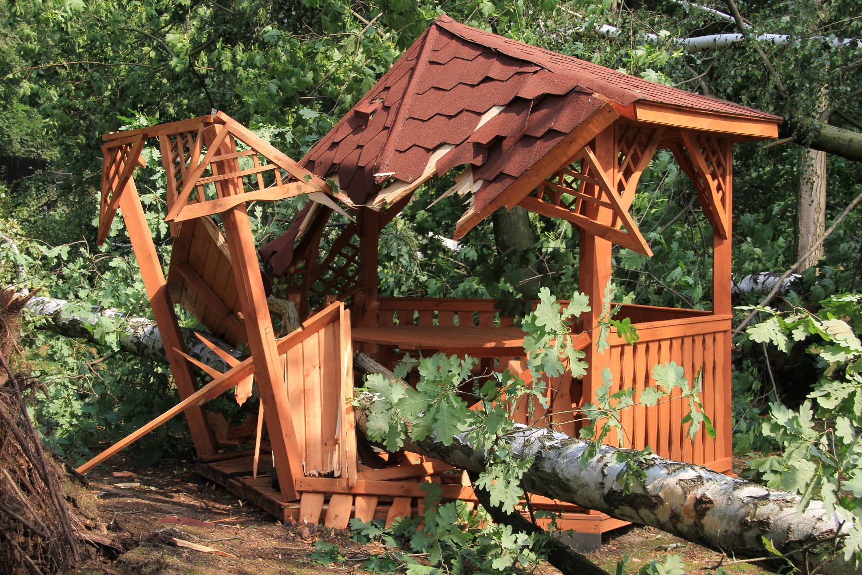 zoo zniszczenia po burzy - ZOO Poznań