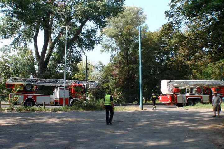 po nawałnicy straż pożarna i miejska - Straż Miejska Miasta Poznania