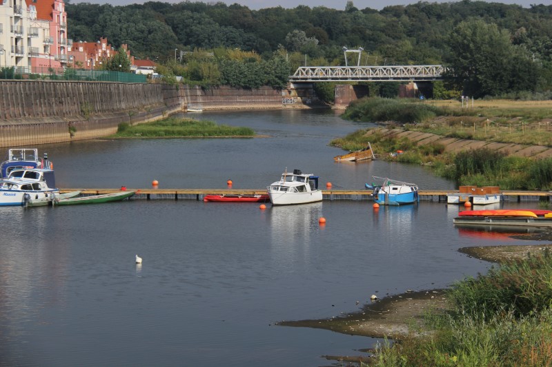 Grzegorz Maciejewski