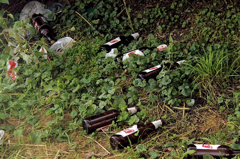 Grzegorz Maciejewski