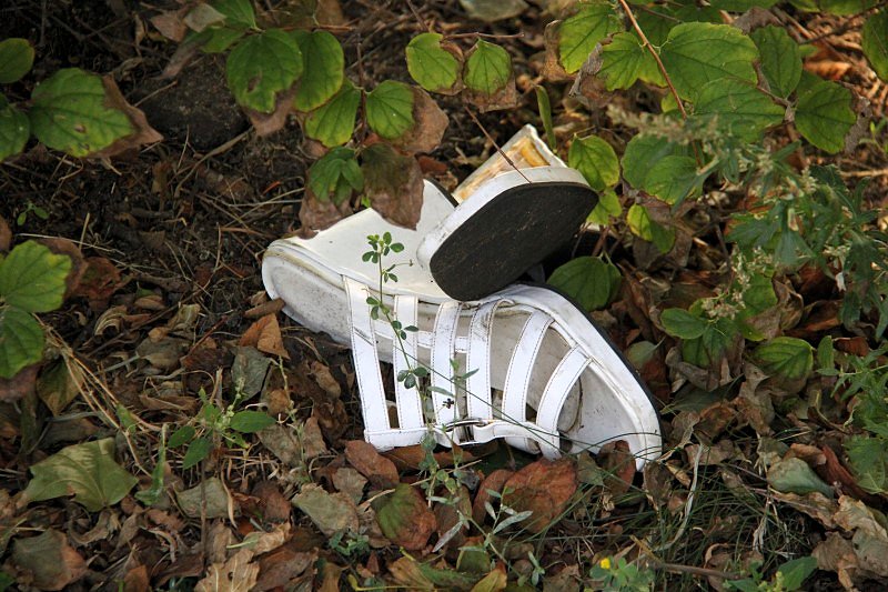 Grzegorz Maciejewski