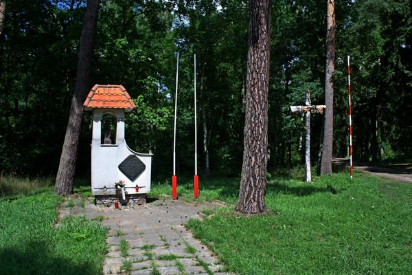 akcja riposta zrzut - Środa Wielkopolska.org