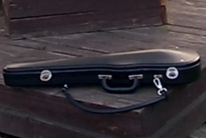 skrzypce w futerale - arch. domowe