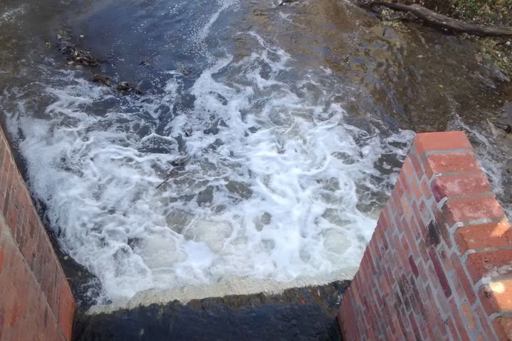 Wojciech Chmielewski