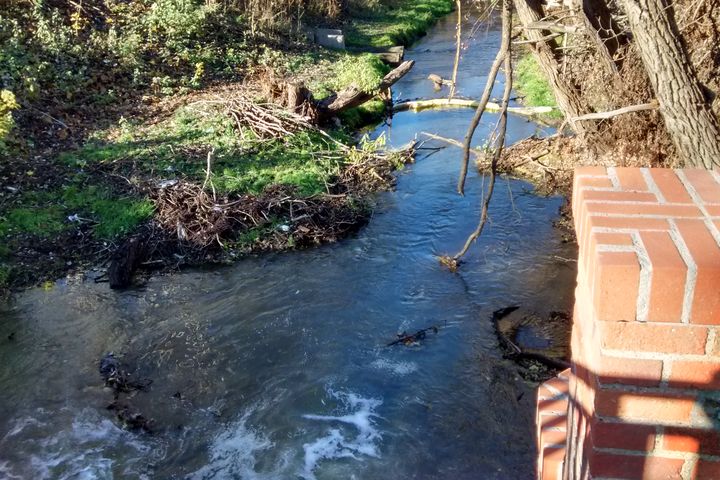 Wojciech Chmielewski