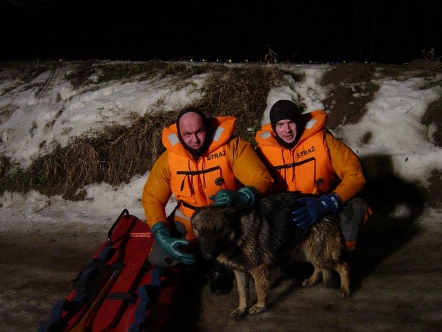 Strażacy z Konina, uratowany pies - Straż Pożarna Konin