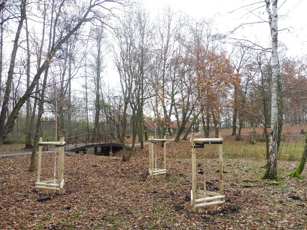 19 milionów na zielone płuca Gniezna. Rusza przetarg na wielką rewitalizację