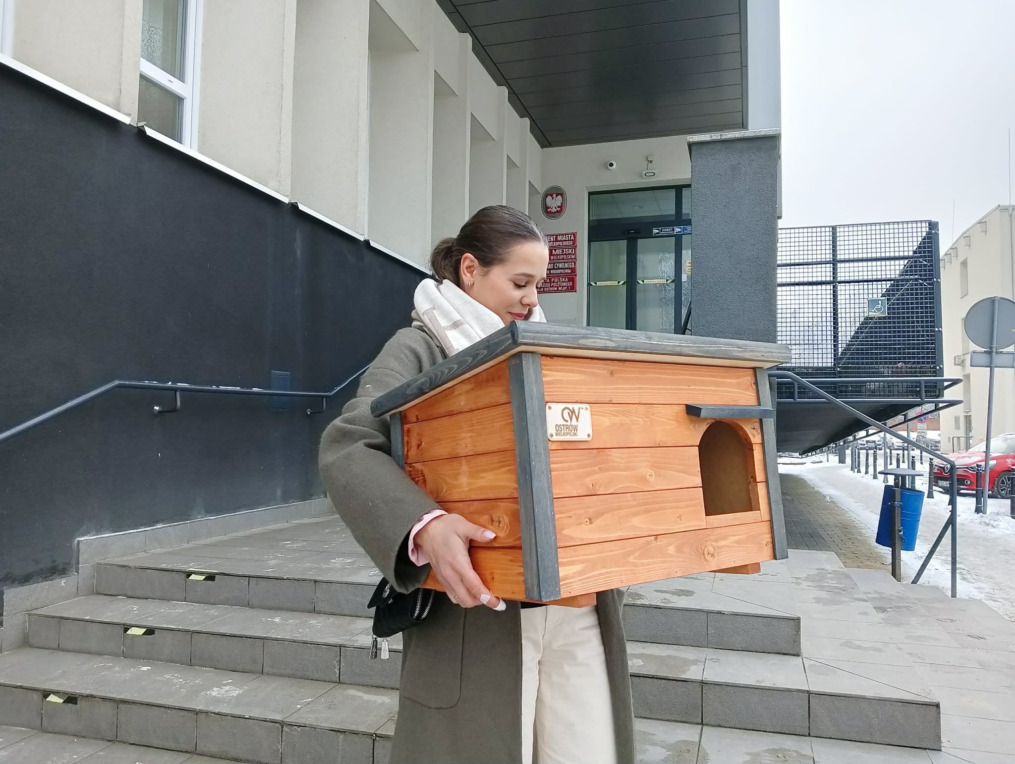 Koty nie zmarzną. Ostrów kupił im domki na zimę