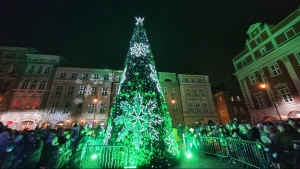 Choinka wróciła na Stary Rynek w Poznaniu. Tłumy podziwiały iluminację