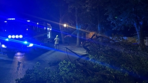Pożar mieszkania i ponad sto interwencji strażaków po burzach