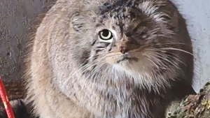 Bożenka odnaleziona! Wiemy, gdzie była przez cały czas. To miejsce zaskakuje