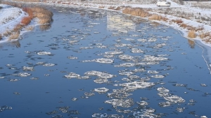 Mróz w regionie. Jak radzimy sobie z niskimi temperaturami?
