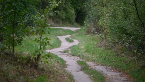 Wartostrada na wale przeciwpowodziowym bez asfaltu i lamp?