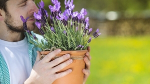 Zielona terapia dla ciała i ducha: Uprawa kwiatów i ziół z nasion