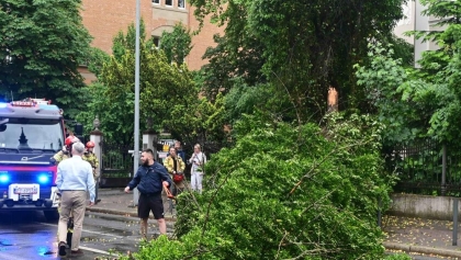 Deszczowy piątek. Na poznańskim Łazarzu runęło 