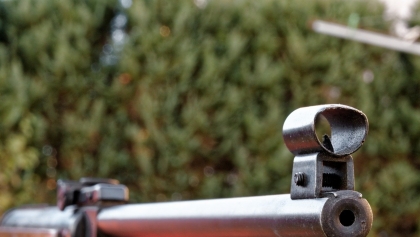 Zastrzelił psa na oczach właściciela. 40-latek z zarzutami