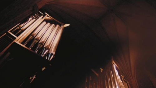 Co wiemy o organach?