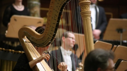 Dr Paulina Porazińska i harfa