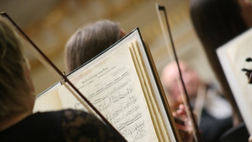 Trzy młode talenty muzyczne