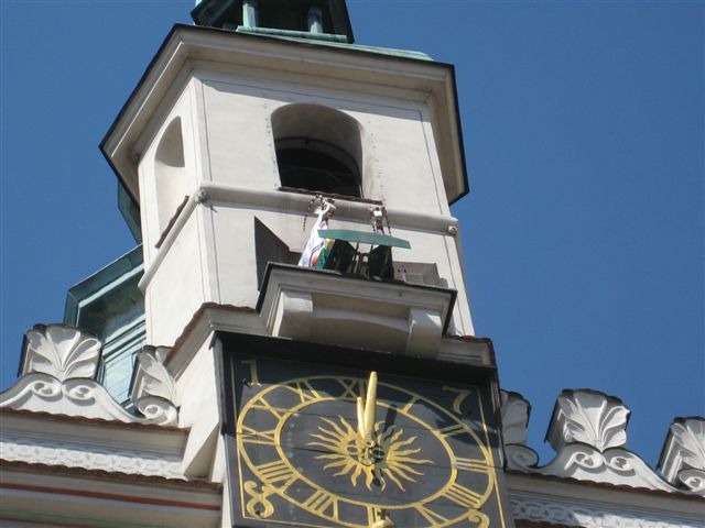 Letnie Koncerty Ratuszowe