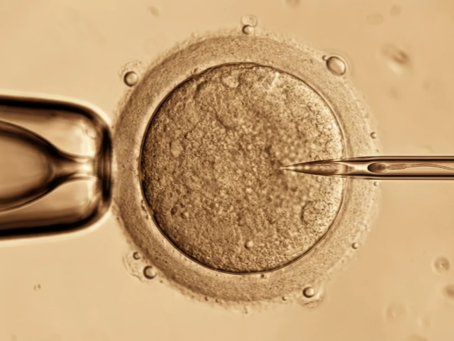 Ponad sto dzieci urodzonych dzięki programowi in vitro