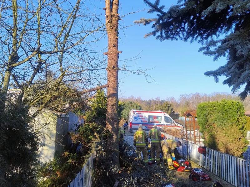 Śmiertelny wypadek podczas wycinki drzew