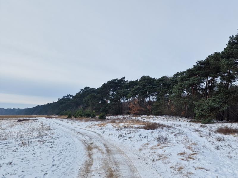 Tu żegnalibyśmy zwierzęta. Grzebowisko pod znakiem zapytania