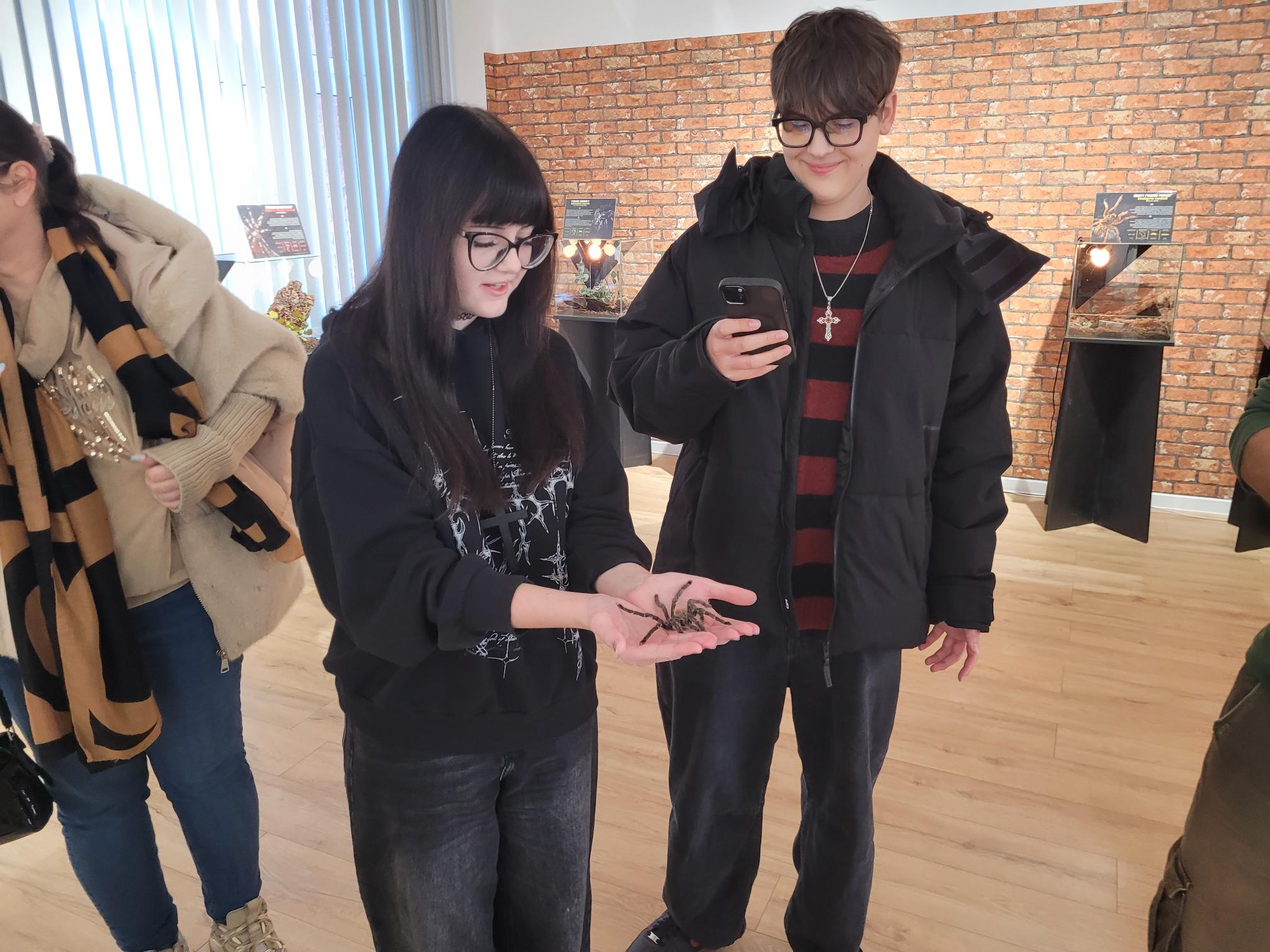 Ferie z dreszczykiem w Czarnkowie. Ptaszniki i czarna wdowa w muzeum