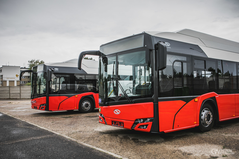 Ostrów Wielkopolski jeździ autobusami. MZK podsumowuje
